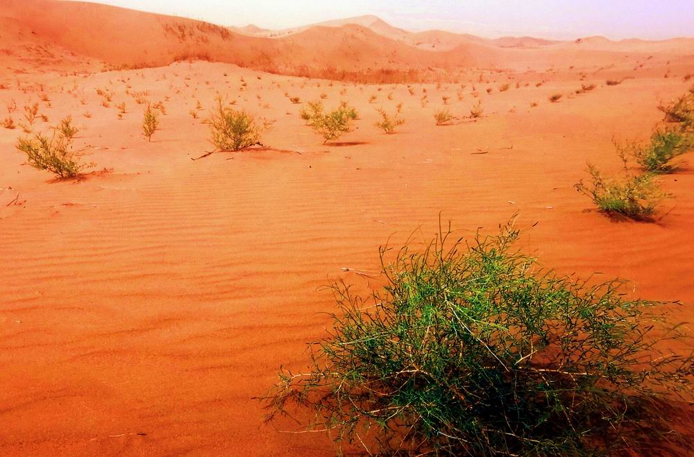 1660008191384373.jpg 微信图片_20220804090550.jpg