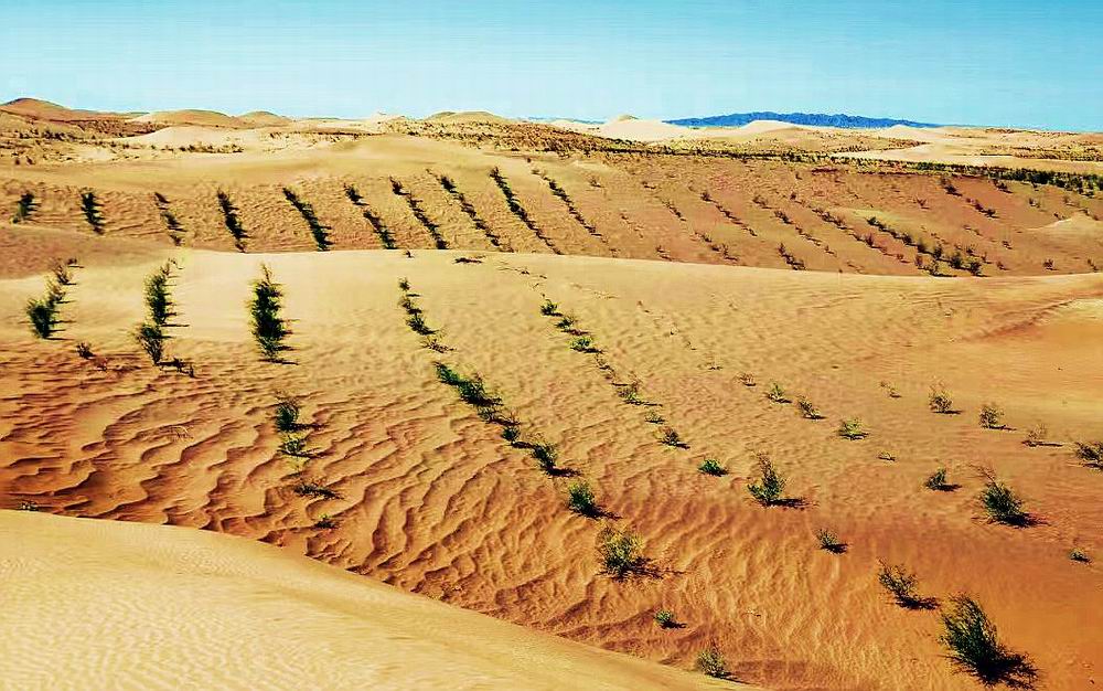 1660008228827689.jpg 微信图片_20220804090313.jpg